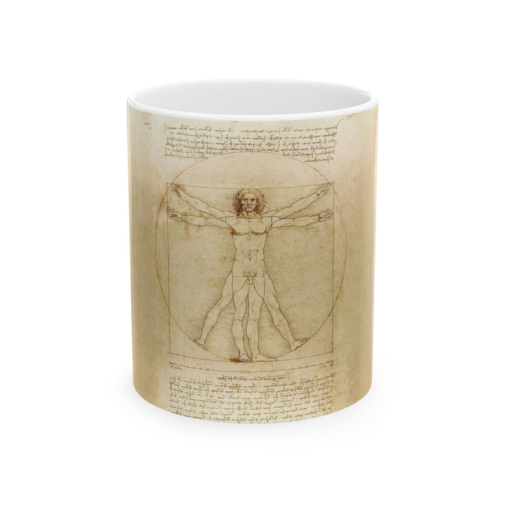 Vitruvian Man Mug – Leonardo da Vinci
