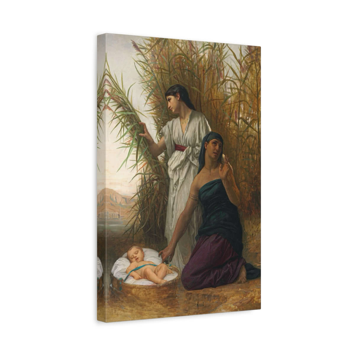 Finding Moses in the Bulrushes Canvas Wall Art