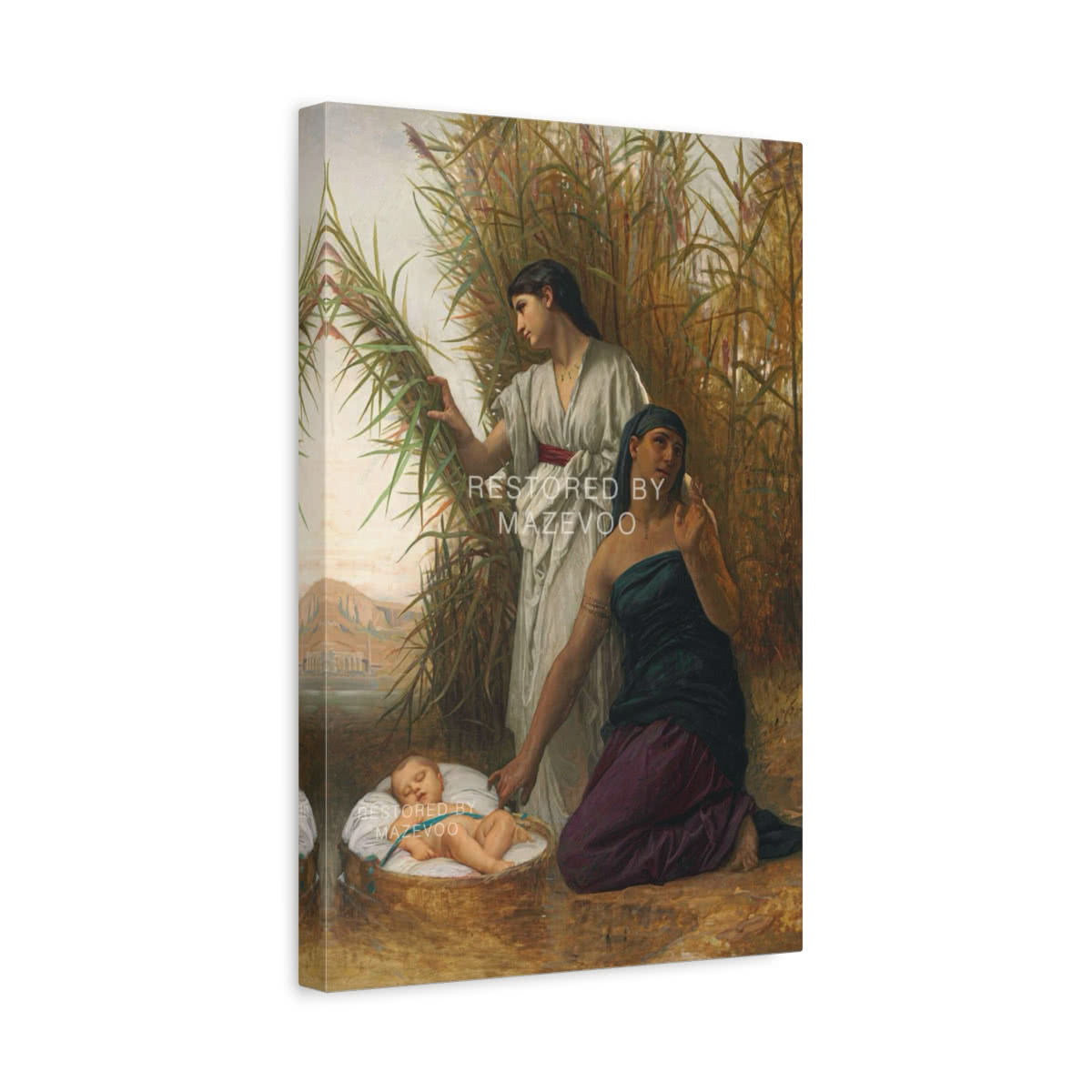 Moses in the Bulrushes (1878) Canvas Wall Art